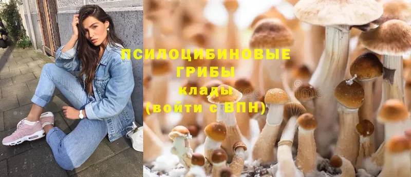 Галлюциногенные грибы MAGIC MUSHROOMS  omg рабочий сайт  Углегорск 